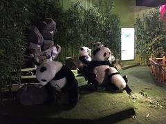 -成都泰迪熊博物馆