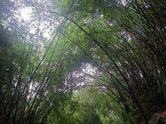 -福州动物园