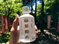 -醍醐寺