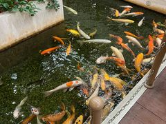 -太子园林酒家