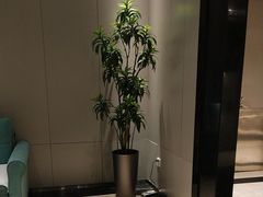 -东方威尼斯温泉酒店