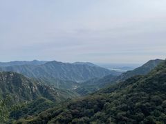 -大岭沟猕猴桃谷风景区