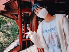 -南汇桃花村