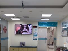 -美联众合动物医院·24h京西诊疗中心
