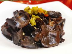 -森谷美食公园(杨行店)