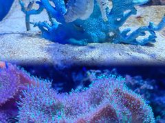 -多彩贵州城极地海洋世界