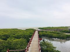 -北海金海湾红树林生态旅游区