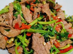 香菜炒牛肉-壹盏灯(蚂蚁工房店)