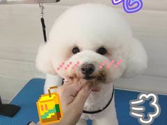 -芭比堂动物医院·心脏专科·夜诊·吉雅分院