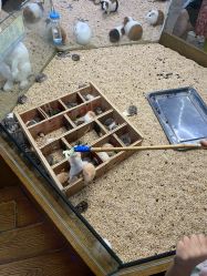 -未来动物城主题公园(正弘城店)