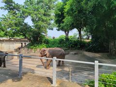 -深圳野生动物园