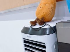 -合肥南站