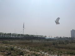 -东疆建设开发纪念公园
