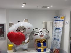 -喜多萌中农锦绣动物医院24H·猫科·牙科MRI·CT