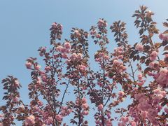 -大连理工大学(凌水校区)