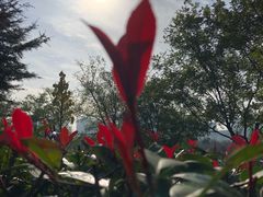 -西安汉城湖景区