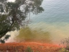 -广州市流溪河国家森林公园