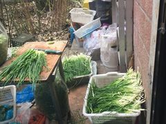 葱-广慈小吃铺沪味佳饭堂
