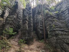 -梭布垭石林景区