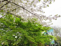 -杭州城北体育公园