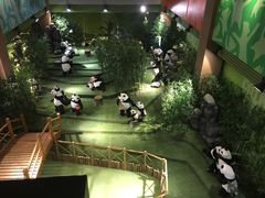 -成都泰迪熊博物馆