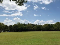 -上海吴淞炮台湾国家湿地公园