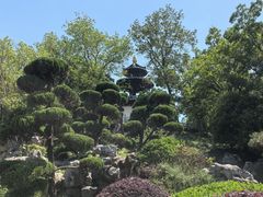 -扬州古运河