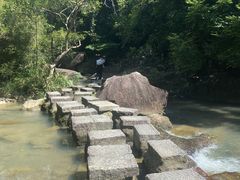 -广州白江湖森林公园