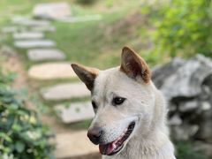 -龙华寺