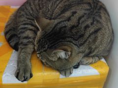 -Best U照相馆证件照·外拍(中山公园店)
