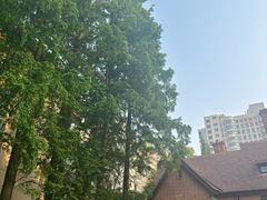 -一尺花园(安和花园店)