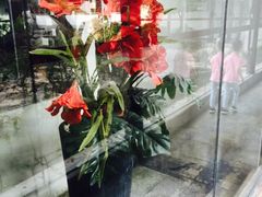 -碧丽宫大酒店(召稼楼店)