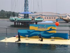 -秦皇岛乐岛海洋王国