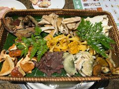 -菌歌野生菌火锅(海埂大坝店)