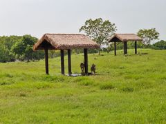 -良渚古城遗址公园