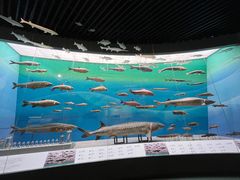 -重庆自然博物馆(新馆)