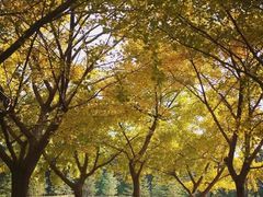 -共青国家森林公园-售票处