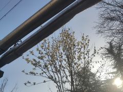 -西安市长乐公园