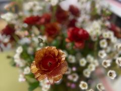 -双季花艺园艺市场(浦东店)
