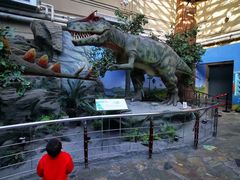 -国家自然博物馆