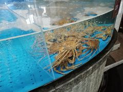 水产区-徐记海鲜(梅溪新天地店)