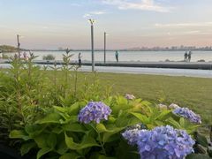 -同里湖度假村(二期店)