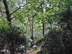 -虞山风景区