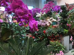 -双季花艺园艺市场(浦东店)