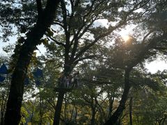 -WeLope紫金山探险公园