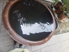 -长春观