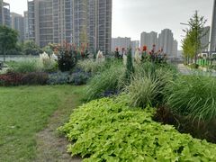 -木塔寺遗址生态公园