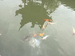 -檀园
