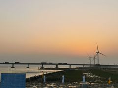 -南汇新城海滩
