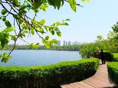 -西安浐灞国家湿地公园